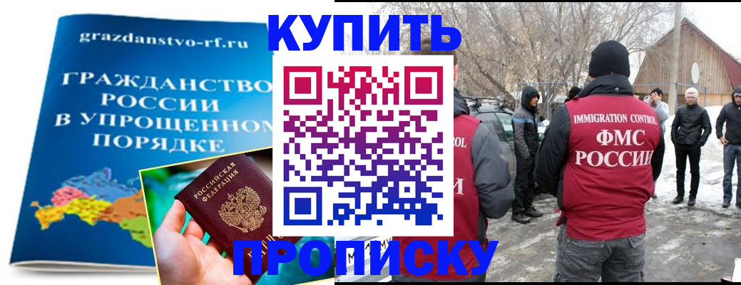 временная регистрация поиск в Палласовке